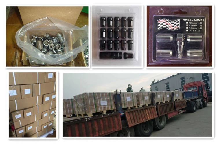Lug Bolt Lug Bolt